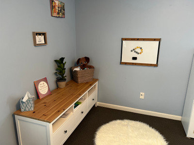 Therapy space picture #5 for Dr. Stefanie  Bauer, mental health therapist in Minnesota