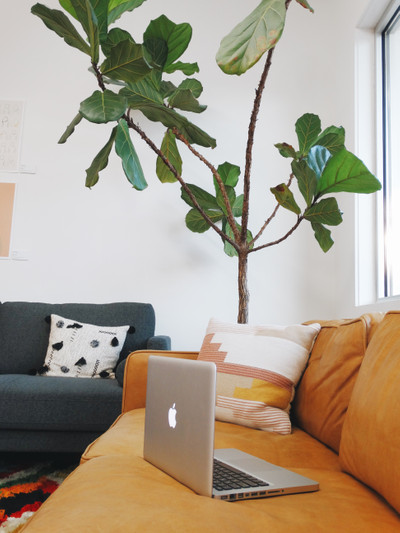 Therapy space picture #2 for Jenny Moon, therapist in California