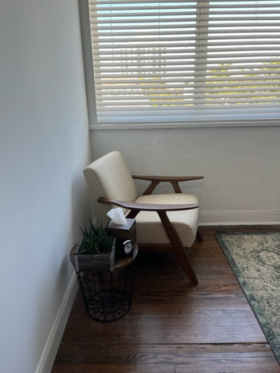 Therapy space picture #1 for Gabriela Torras, therapist in Florida