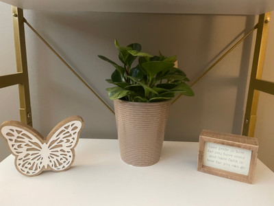 Therapy space picture #3 for Hayley  Lemieux , therapist in Michigan