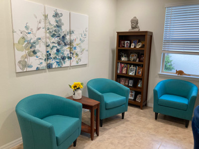 Therapy space picture #1 for Henry Esformes, mental health therapist in Florida
