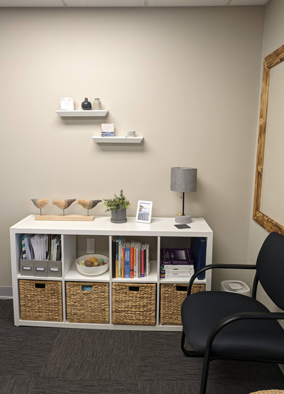 Therapy space picture #4 for Amy Kate Petersen, mental health therapist in Michigan