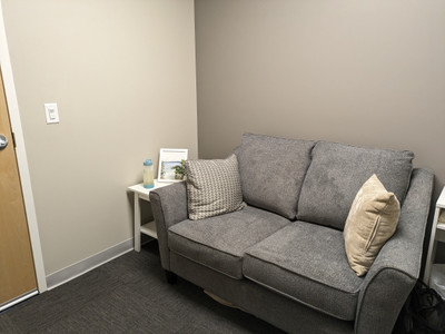 Therapy space picture #3 for Amy Kate Petersen, mental health therapist in Michigan