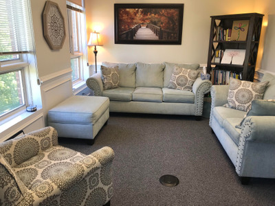 Therapy space picture #4 for Michelle Bogdan, mental health therapist in New York, Virginia, West Virginia
