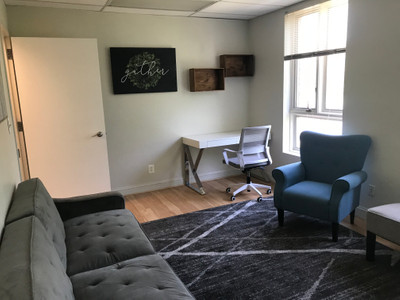Therapy space picture #5 for Michelle Bogdan, mental health therapist in New York, Virginia, West Virginia