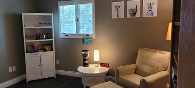 Therapy space picture #3 for Candice Ericksen, mental health therapist in Michigan