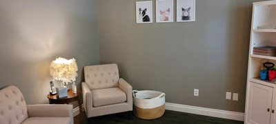 Therapy space picture #4 for Candice Ericksen, mental health therapist in Michigan