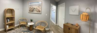 Therapy space picture #1 for Dr. Kimberly Carnall, mental health therapist in Florida