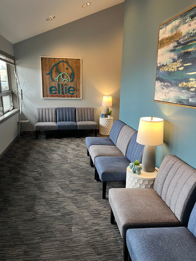 Therapy space picture #2 for Josie Wolthuis, mental health therapist in Michigan