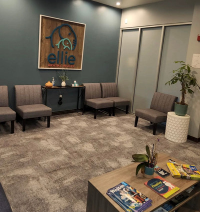 Therapy space picture #1 for Lauren Alman, mental health therapist in Florida