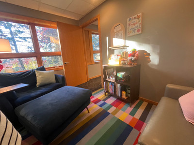 Therapy space picture #4 for Cassie Alderink, mental health therapist in Michigan