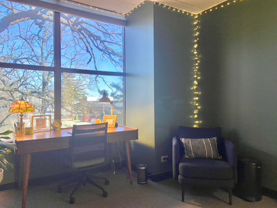 Therapy space picture #2 for Taylor Duckett, mental health therapist in Illinois