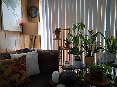 Therapy space picture #4 for Ramon Maisonet, mental health therapist in Florida