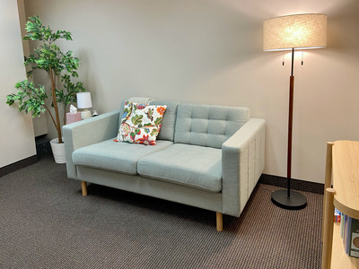 Therapy space picture #4 for Elizabeth Heidenreich, mental health therapist in District Of Columbia, Minnesota