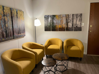 Therapy space picture #2 for Lara Hammock, mental health therapist in District Of Columbia, Maryland, Virginia