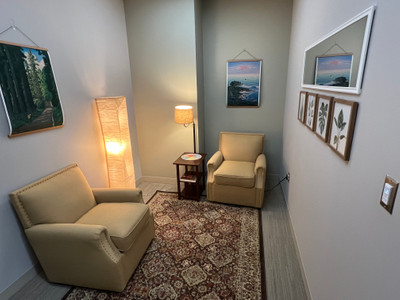 Therapy space picture #1 for Andrew Beer, mental health therapist in Michigan