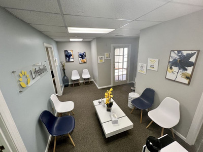 Therapy space picture #1 for Anastasia Lidestri, mental health therapist in New Jersey