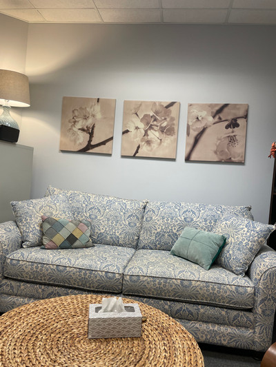 Therapy space picture #2 for Lisa Schneider, mental health therapist in Colorado, Connecticut, New York, Pennsylvania