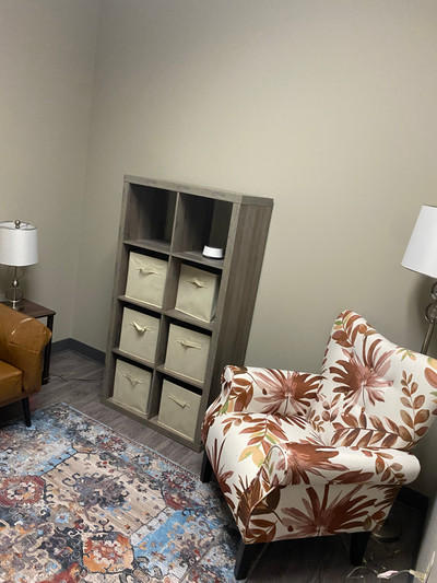 Therapy space picture #3 for Teresa Barr, mental health therapist in Michigan
