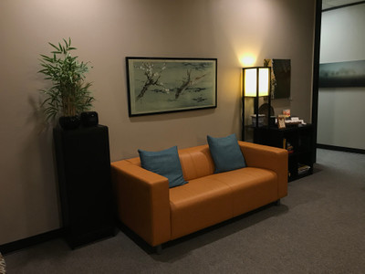 Therapy space picture #5 for Abigail Eck, therapist in Texas