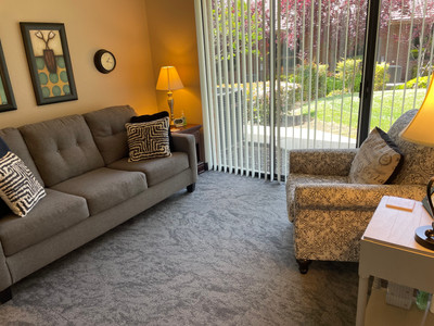 Therapy space picture #4 for Sheri Zanganeh, therapist in California