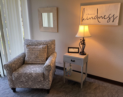 Therapy space picture #2 for Sheri Zanganeh, therapist in California