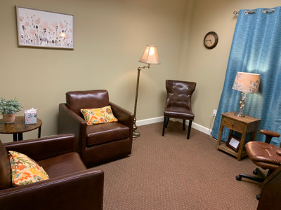 Therapy space picture #3 for Dr Bia Lima, therapist in Florida, Texas