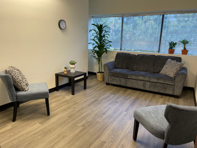 Therapy space picture #4 for Ani Martikyan, therapist in California