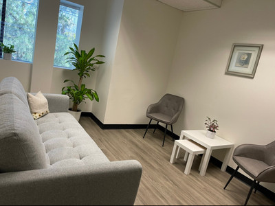 Therapy space picture #2 for Ani Martikyan, mental health therapist in California