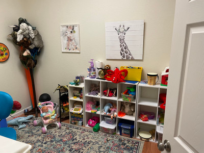 Therapy space picture #2 for Cricket Rice, therapist in Kansas